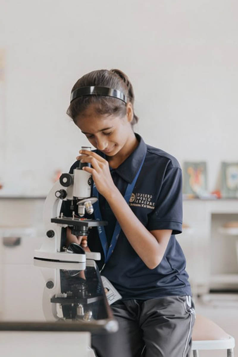 Integrated Learning