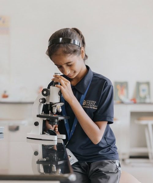 Life at United World Academy